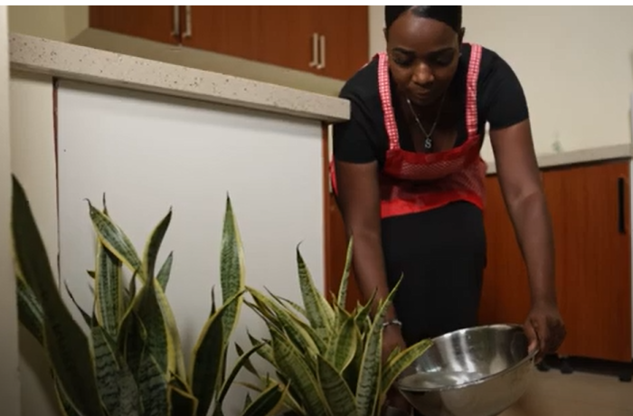 Heaven Hands Gallery Image