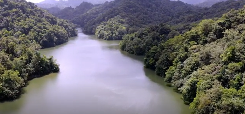 Heaven Hands Gallery Image