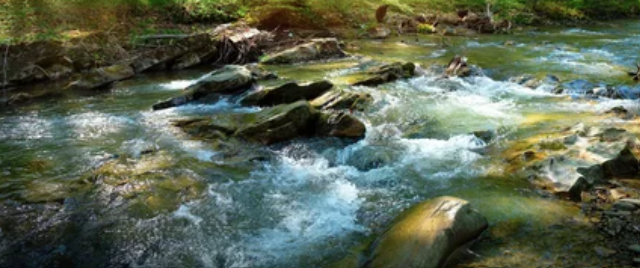 Heaven Hands Gallery Image